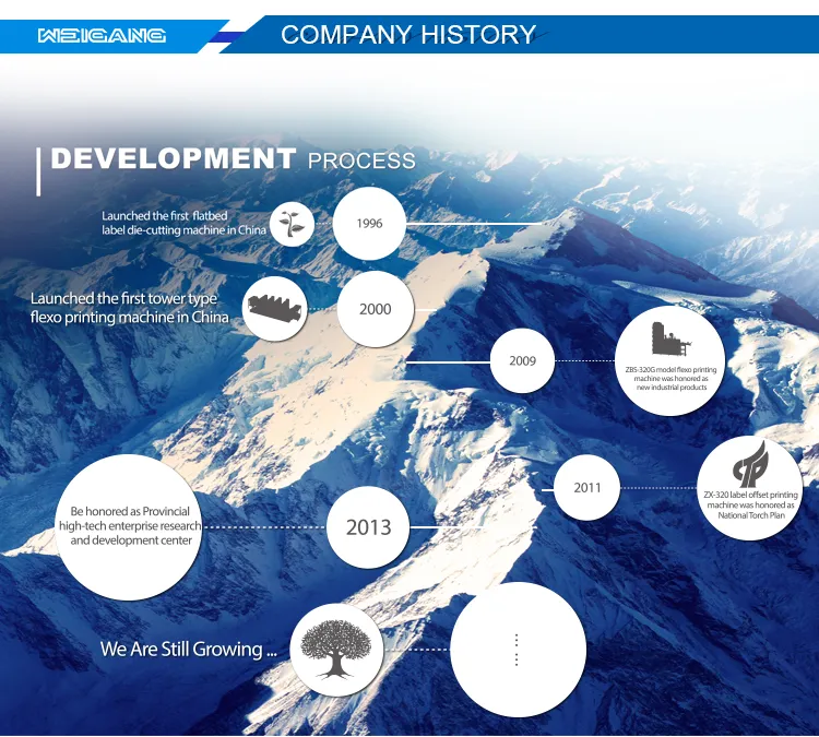320mm Computerized Weigang Export Wooden Case Manual Die Cutting Hot Stamping Machine