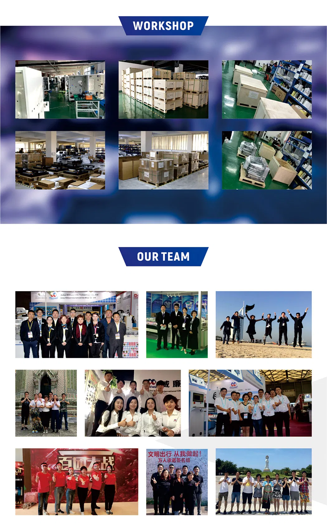 Auto Feeding Digital Sheet to Sheet Barcode Automatic Vinyl Die Cutter