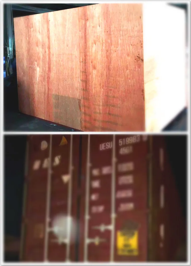 Paper Die Cutting Machine and Creasing Manual Machine